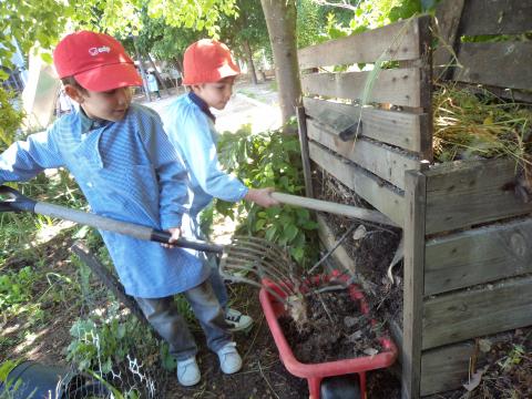Todo o processo da compostagem é realizado pelas crianças com a supervisão do adulto.